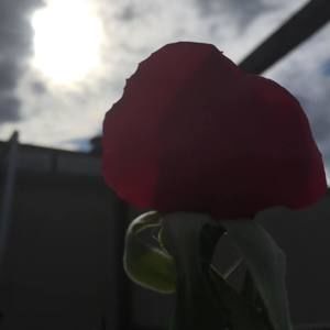 Meet your Posher, Daniela